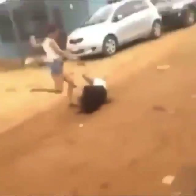 Girl Fight 484