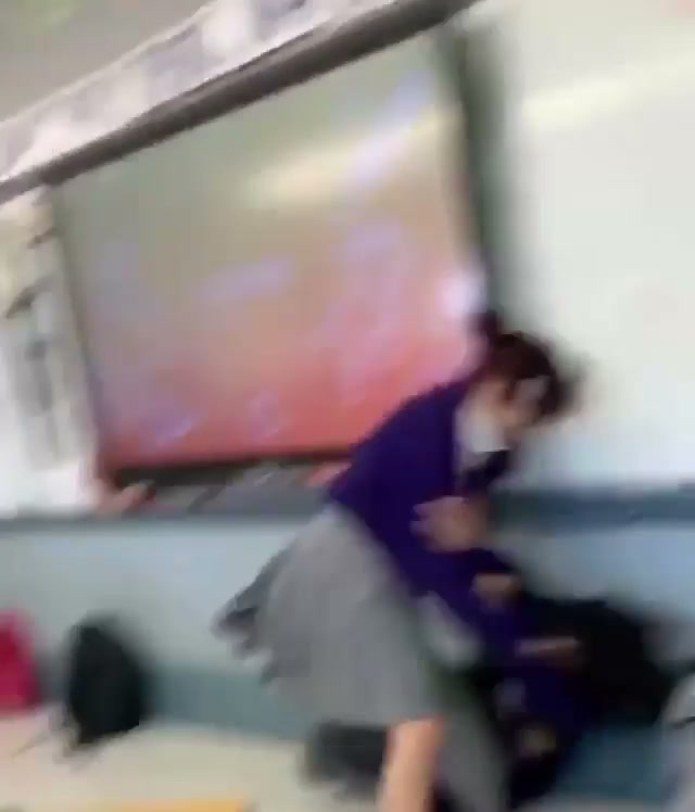 Girl Fight 485
