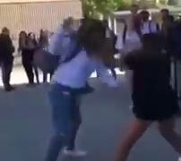 Girl Fight 487