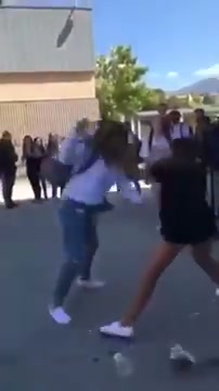 Girl Fight 487