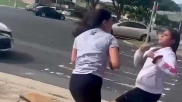 Girl Fight 493
