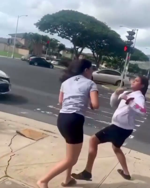 Girl Fight 493