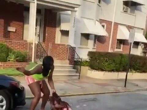 Girl Fight 495