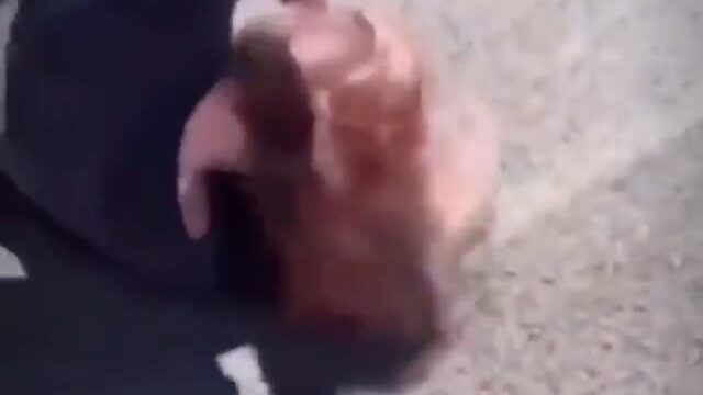 Girl Fight 496