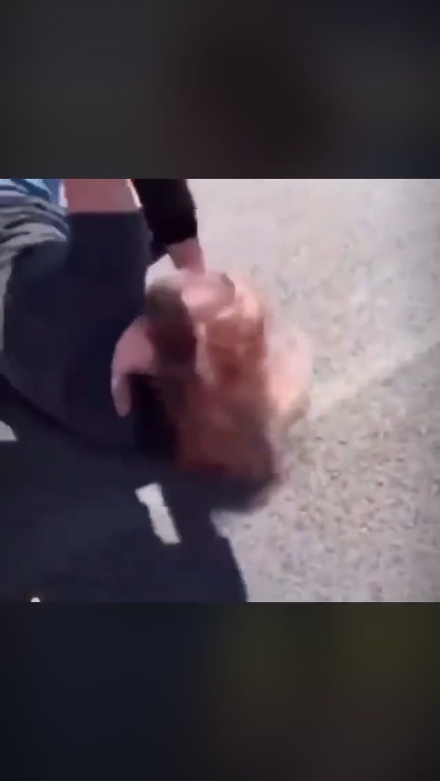 Girl Fight 496