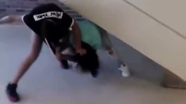 Girl Fight 509