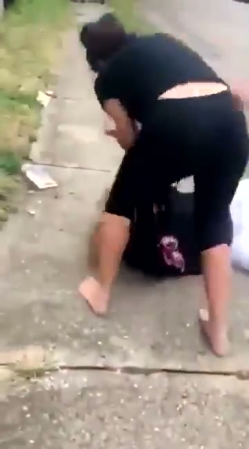 Girl Fight 517