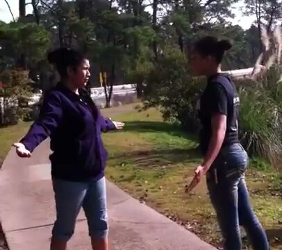 Girl Fight 528