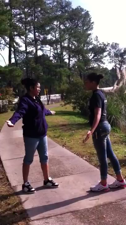 Girl Fight 528