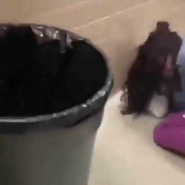 Girl Fight 529