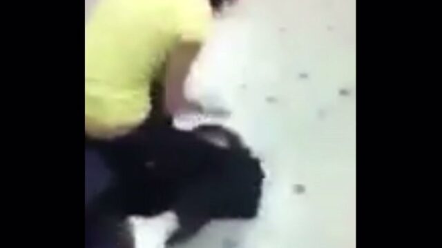 Girl Fight 536