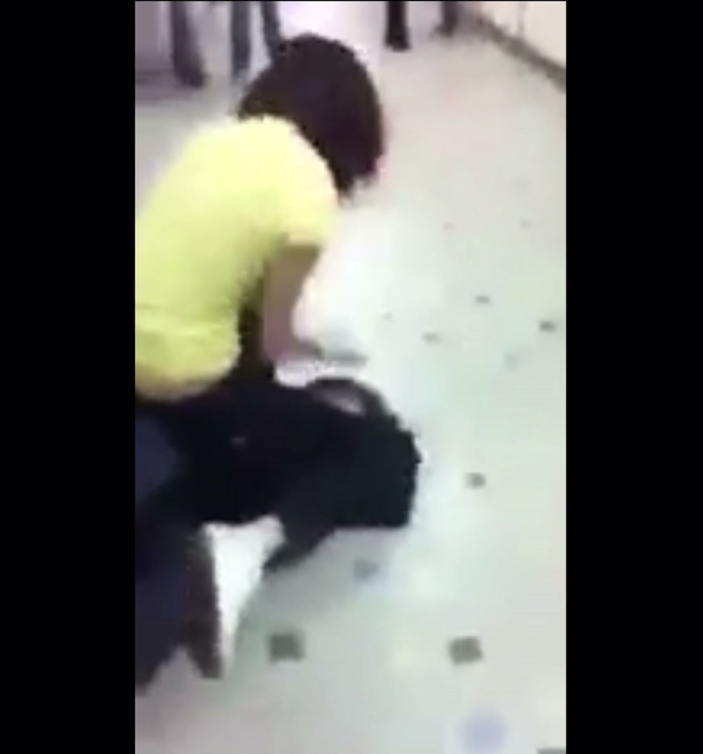 Girl Fight 536