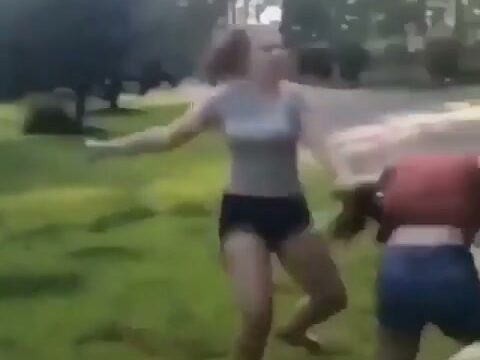 Girl Fight 539