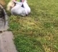 Girl Fight 541