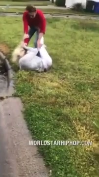 Girl Fight 541