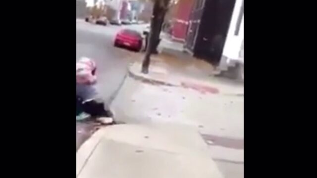 Girl Fight 556