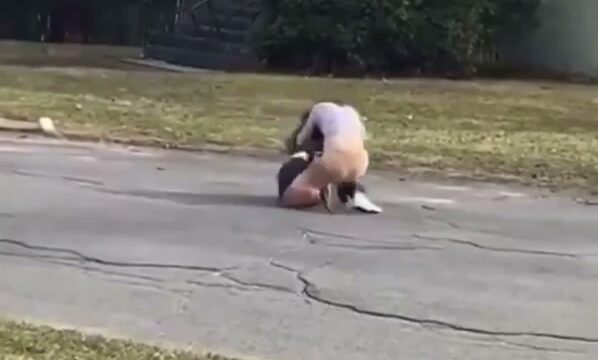 Girl Fight 559