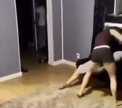 Girl Fight 560