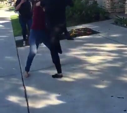 Girl Fight 583