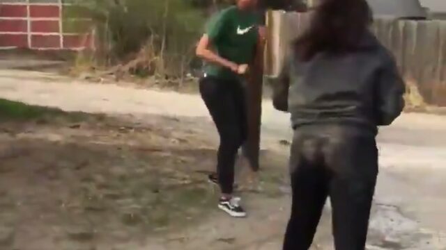Girl Fight 584