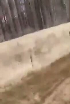 Girl Fight 590