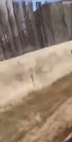 Girl Fight 590