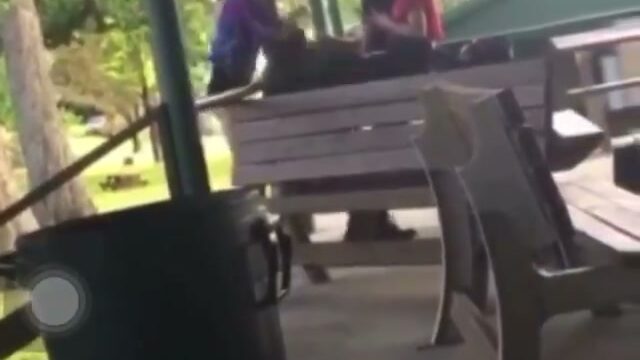 Girl Fight 594