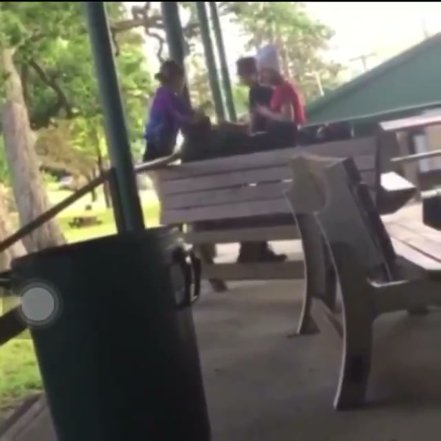 Girl Fight 594