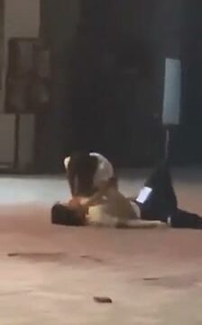 Girl Fight 611