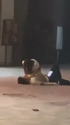 Girl Fight 611
