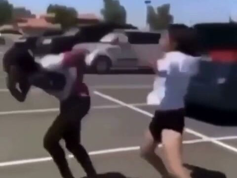 Girl Fight 612