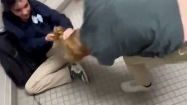 Girl Fight 660