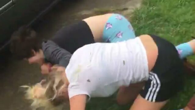 Girl Fight 665