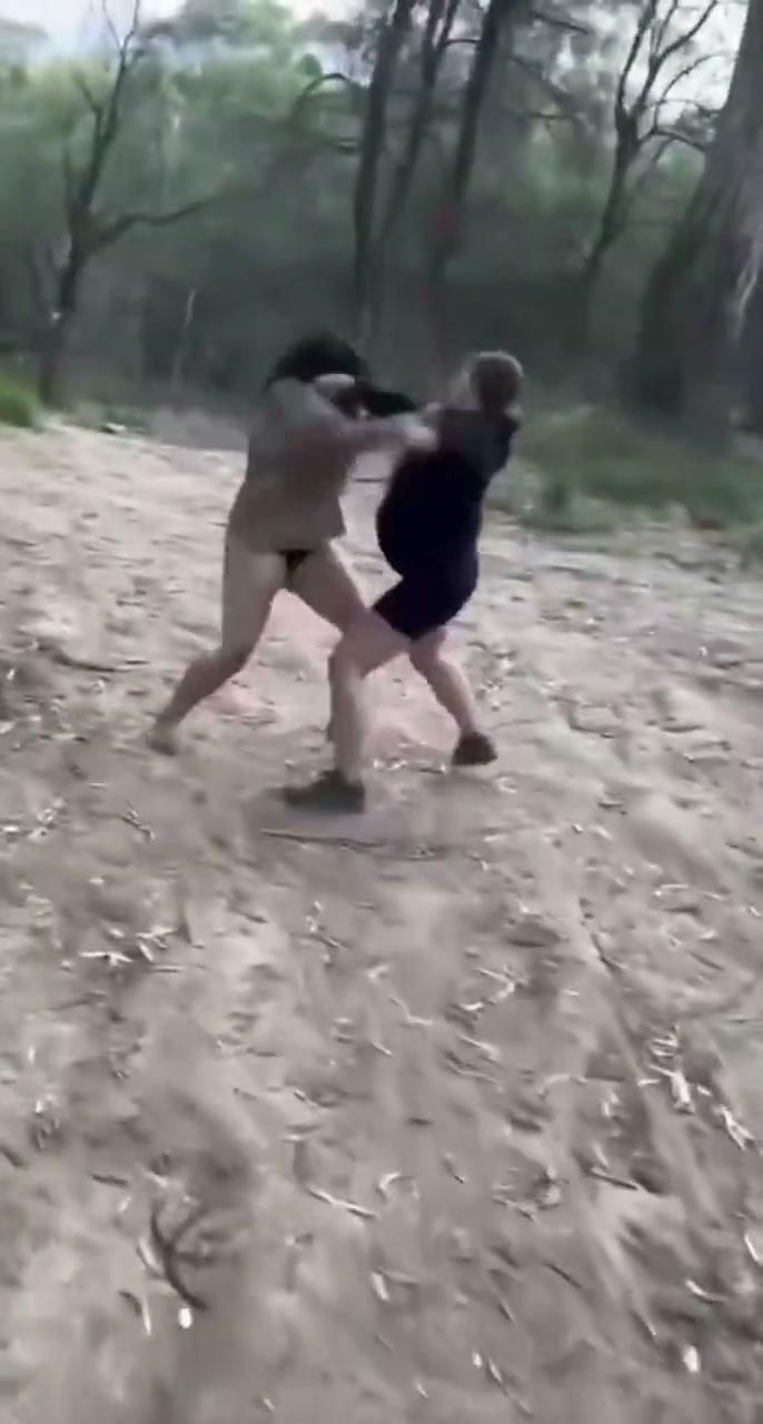 Girl Fight 684