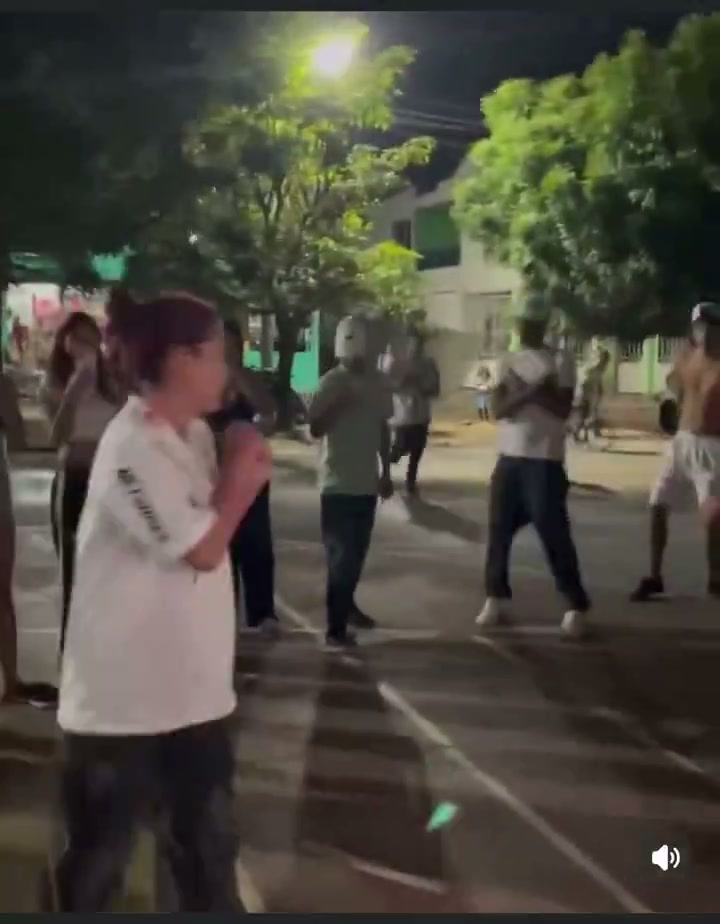 Girl Fight 699