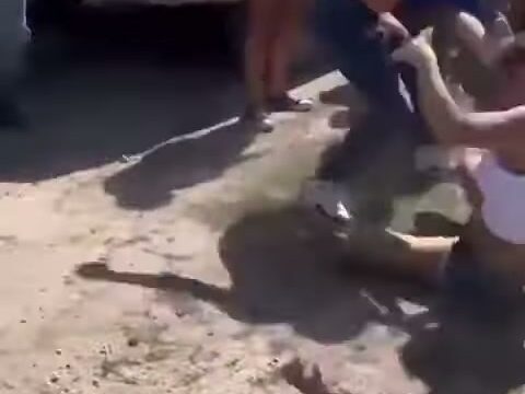 Girl Fight 730