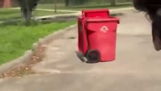 Girl Fight 749
