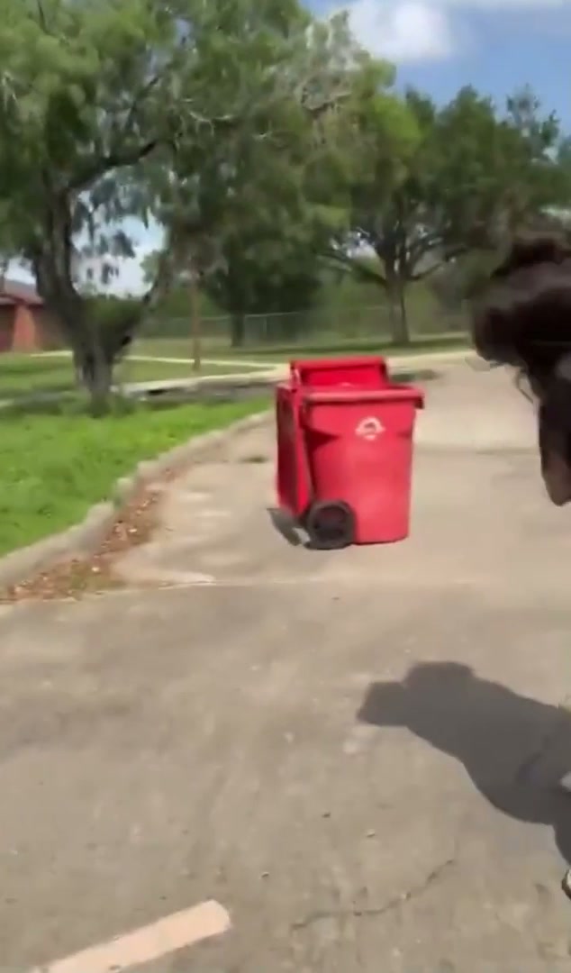 Girl Fight 749