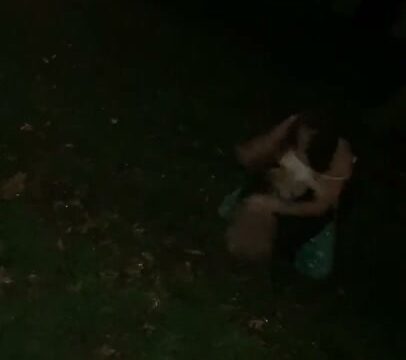 Girl Fight 760