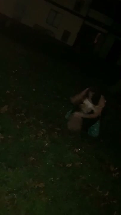 Girl Fight 760