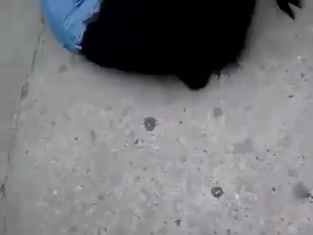 Girl Fight 762