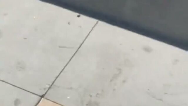 Girl Fight 791