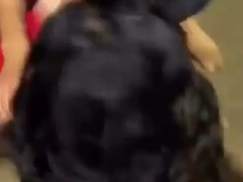 Girl Fight 798