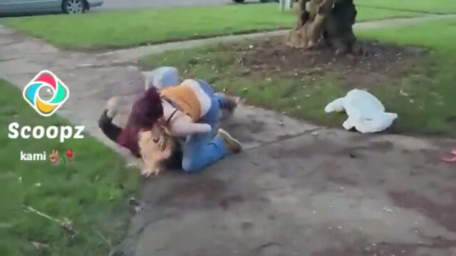 Girl Fight 800