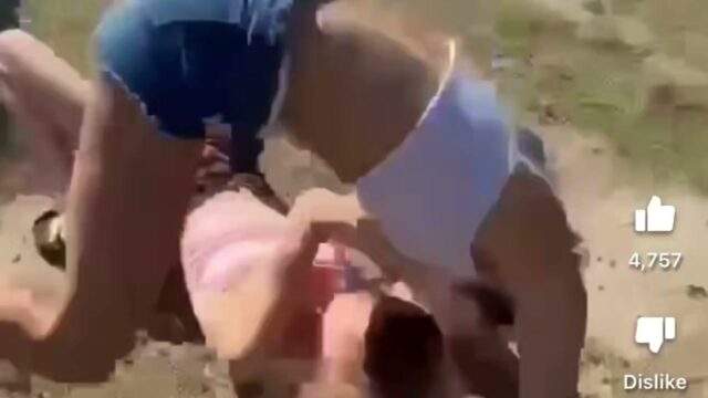 Girl Fight 804