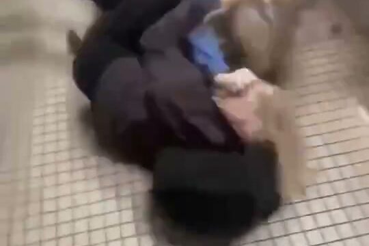 Girl Fight 823
