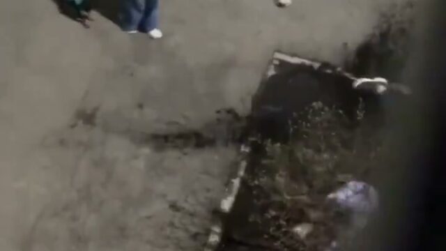 Girl Fight 827