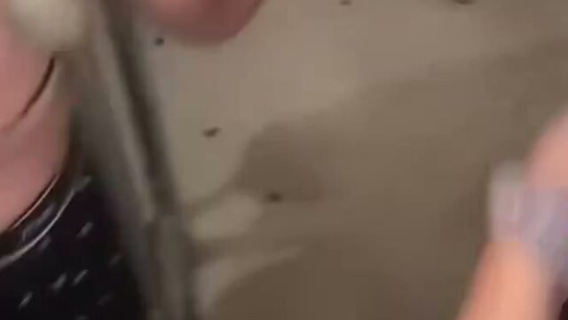 Girl Fight 830