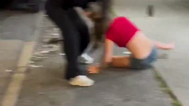 Girl Fight 832